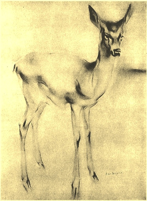 Hertje 1921-27.jpg